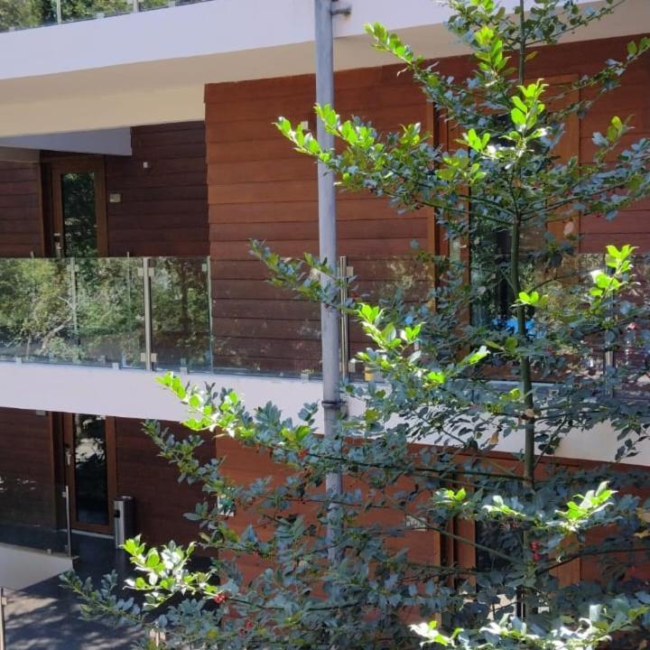 Hotel Playa Grande Suites Pucón Εξωτερικό φωτογραφία